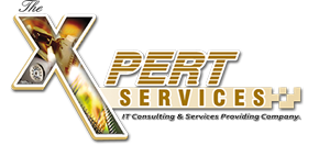 The Xpert Services (TM)